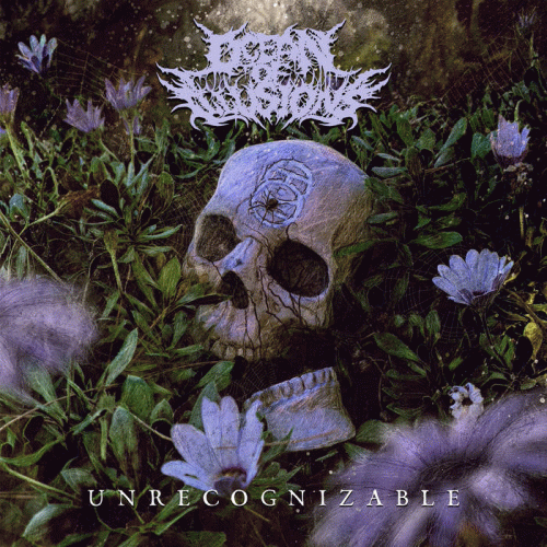 Ocean Of Illusions : Ümvelt